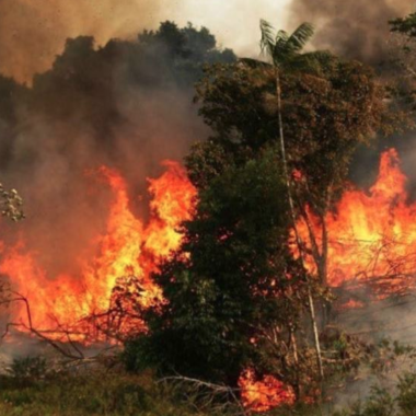 incendio forestal en los tecores gallegos