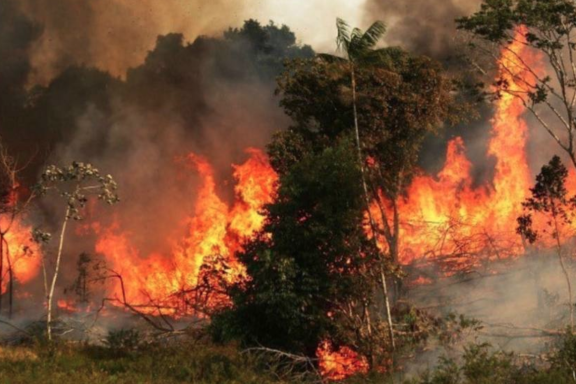incendio forestal en los tecores gallegos