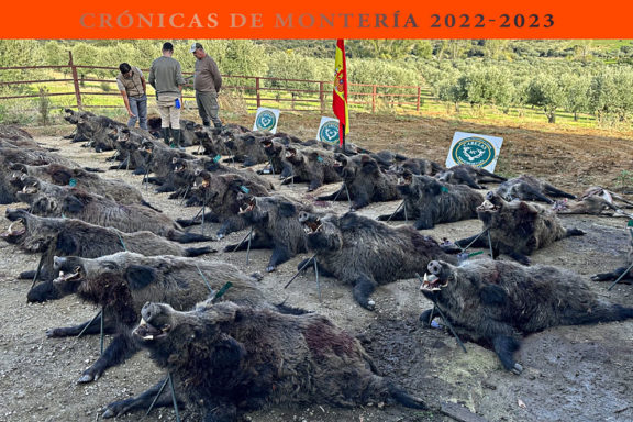 Cabezas no monterión