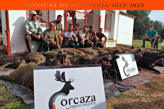 Corcaza jabalíes
