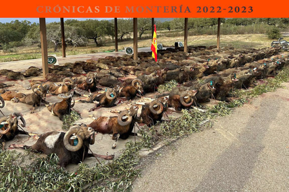 El Cotano con Cabezas