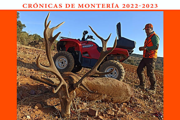 bonita montería