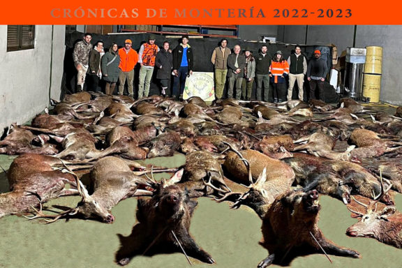 La Siembra Pelillo