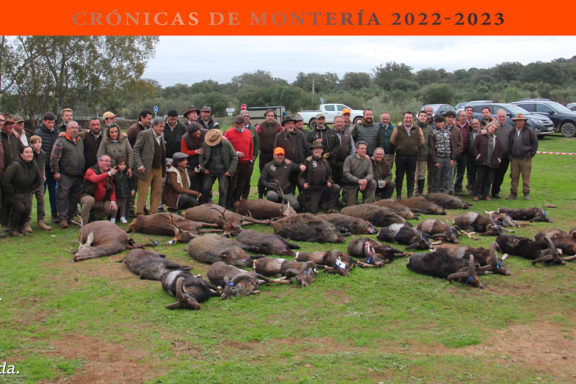 Los Lapones muflones