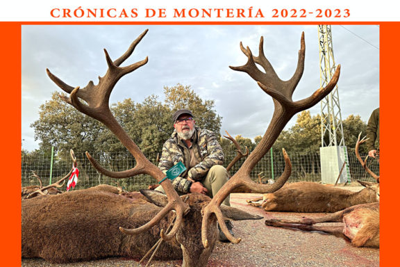 en Santa Quiteria jabalíes
