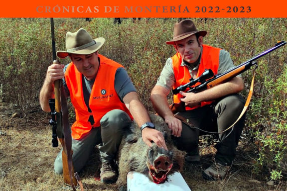 Batida de Carriles