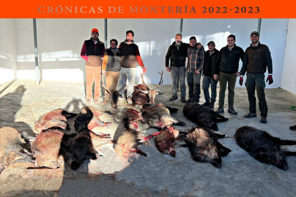 El Umbrión jabalíes