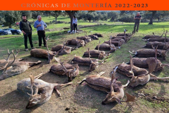 Los gamos El Rincón