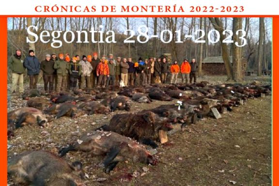 Segontia jabalíes