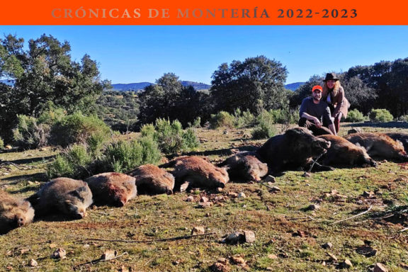 Tres monterías jabalíes