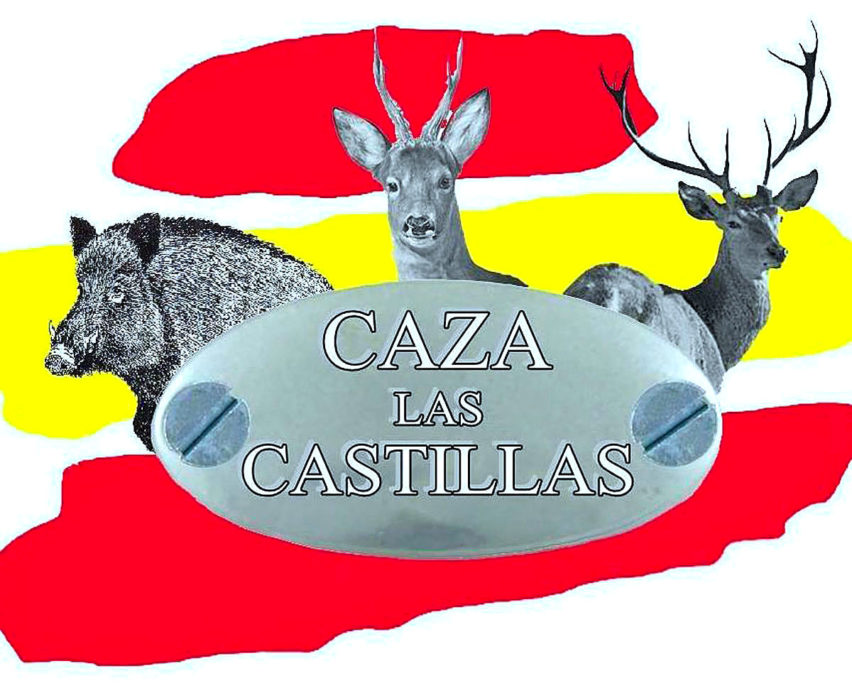 Caza Las Castillas jabalíes