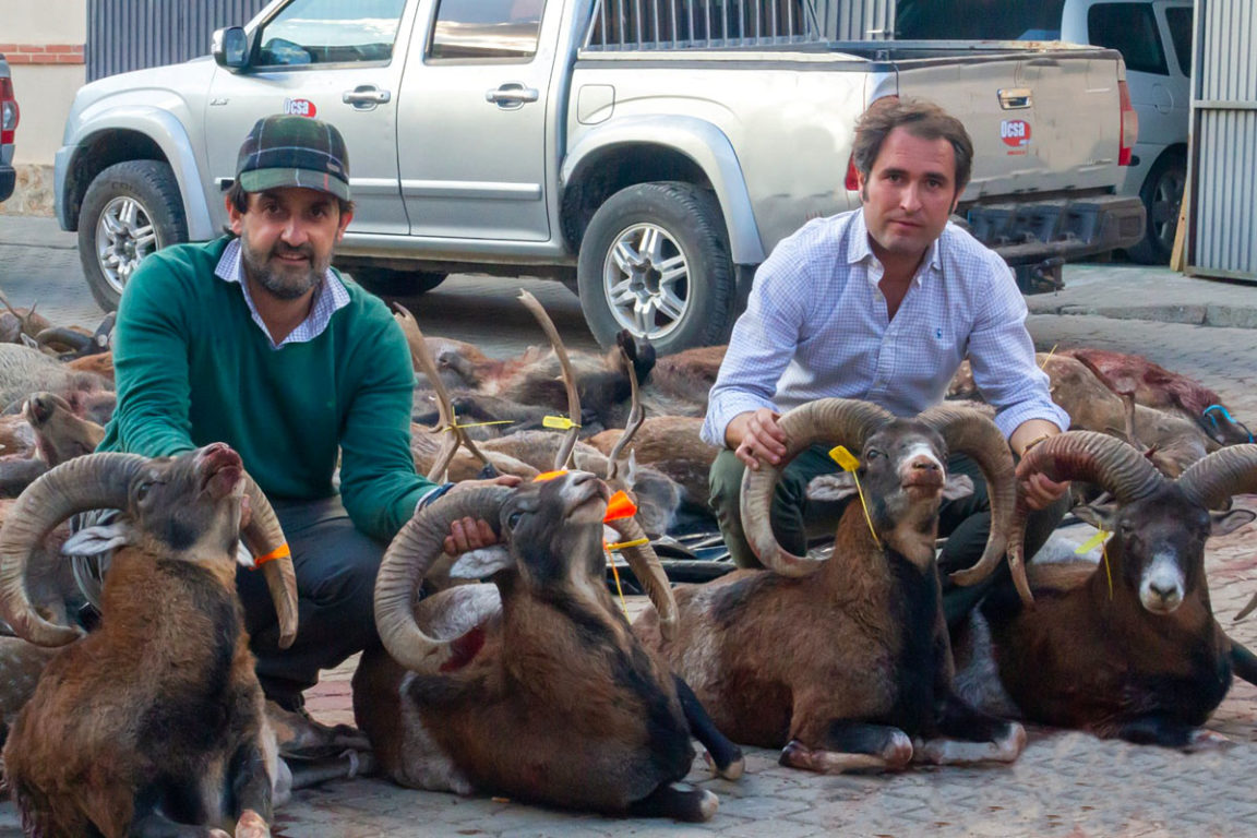 Corto pero gran calendario de monterías 20232024 de Mancha Ibérica