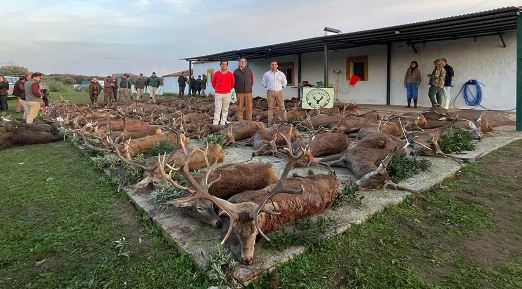 Pelillo se montería