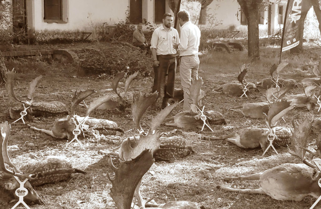 a gamos montería