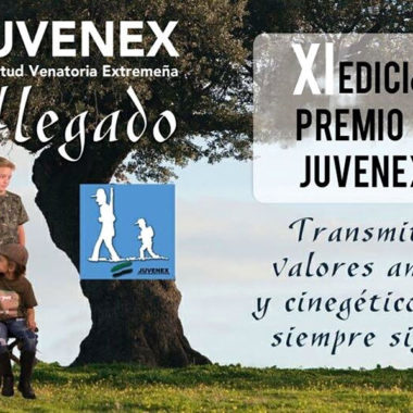 de los Premios Juvenex