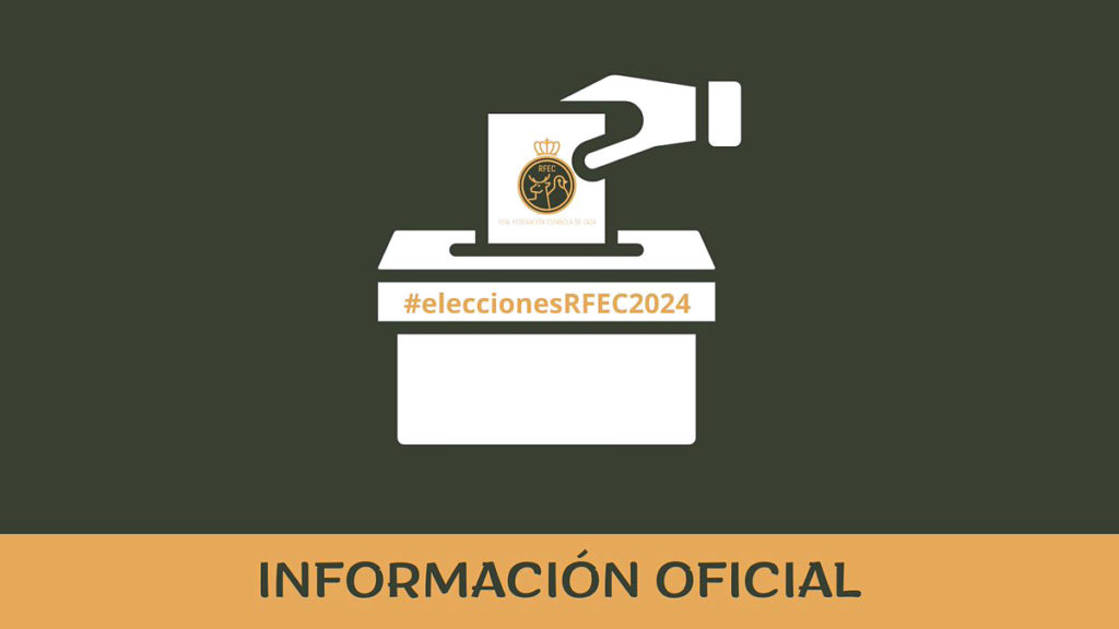 Elecciones a Caza