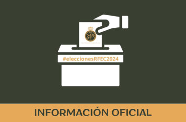 Elecciones a Caza