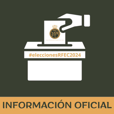 Elecciones a Caza