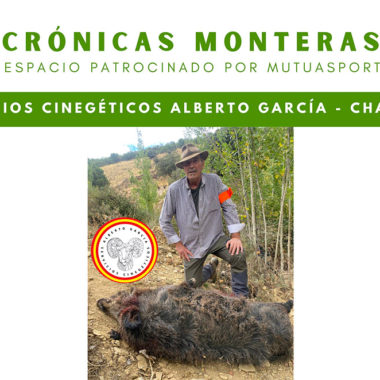 Charches montería