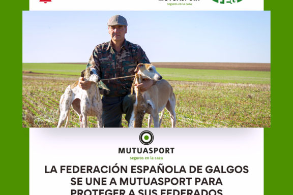 Galgos se Mutuasport