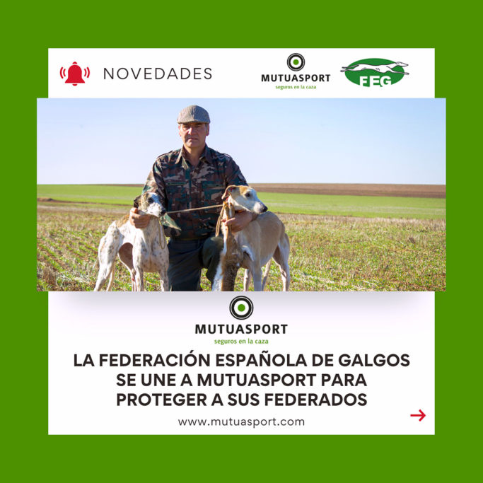 Galgos se Mutuasport