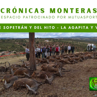 La Agapita monteros