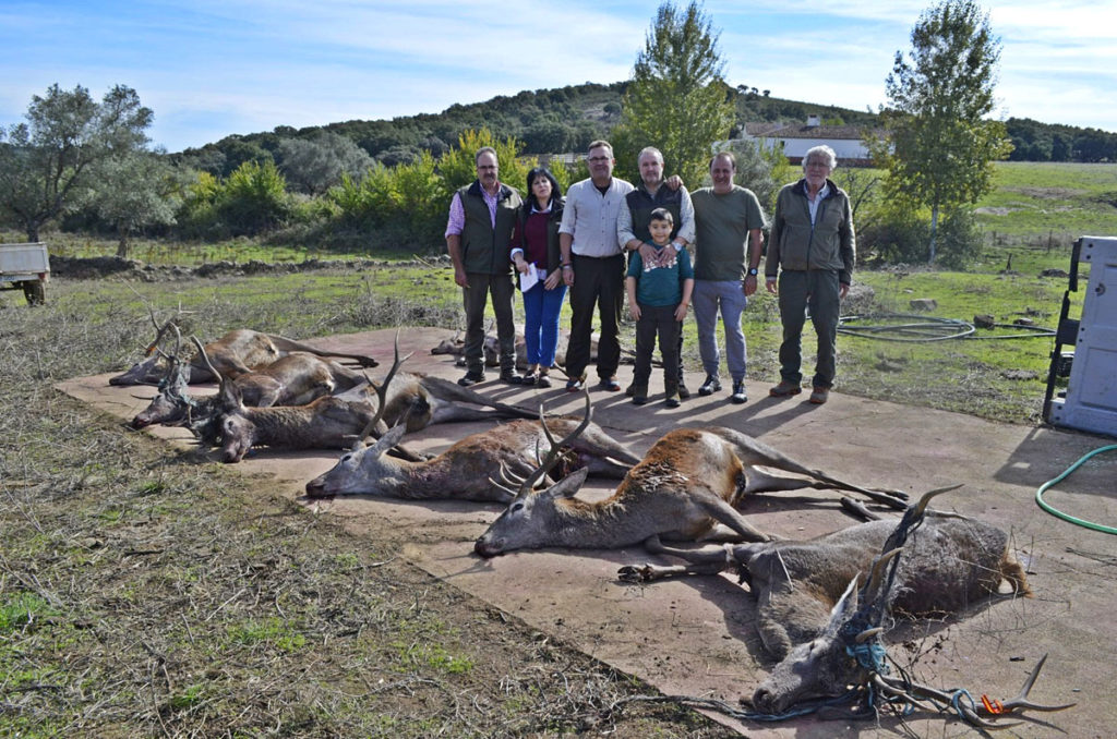 los jabalíes se Valdelayegua