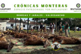 Valdesancho montería