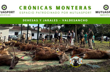 Valdesancho montería