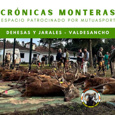 Valdesancho montería