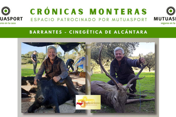 La montería de Cinegética de Alcántara