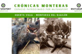 del Ojailén montería