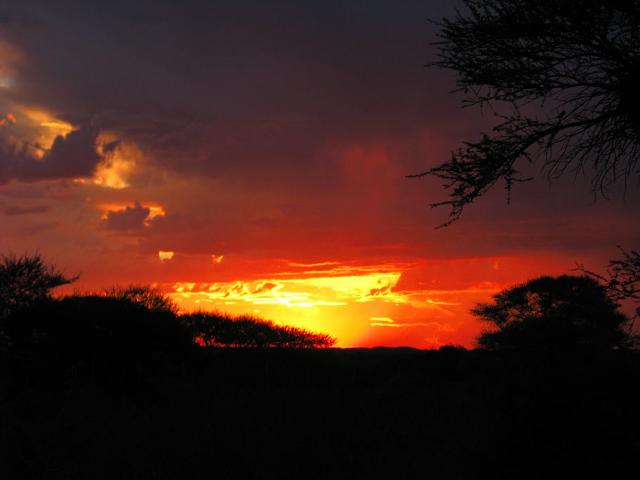 África indómita Caza