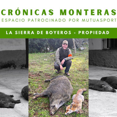 Boyeros montería