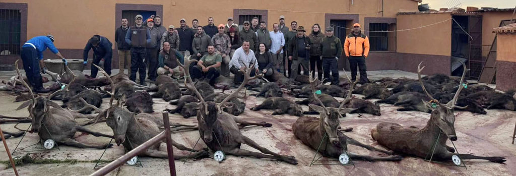 Sierra Extremadura La Torrecilla