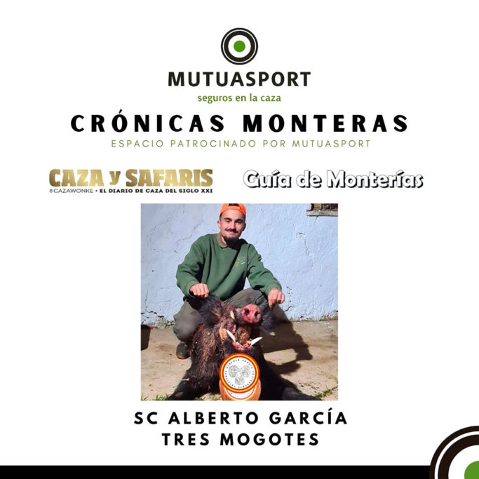 Tres Mogotes montería