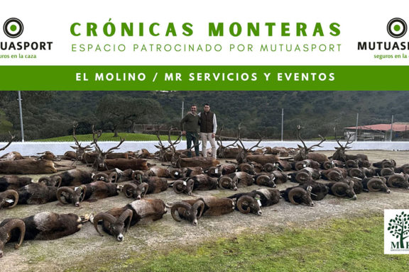 MR Servicios y montería