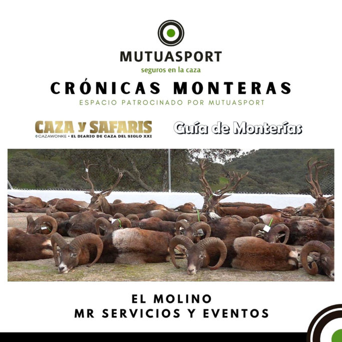 MR Servicios y montería