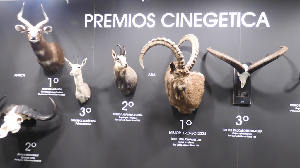 Trofeos de caza. Premios Cinegética SCI