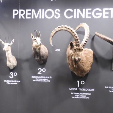 Trofeos de caza. Premios Cinegética SCI