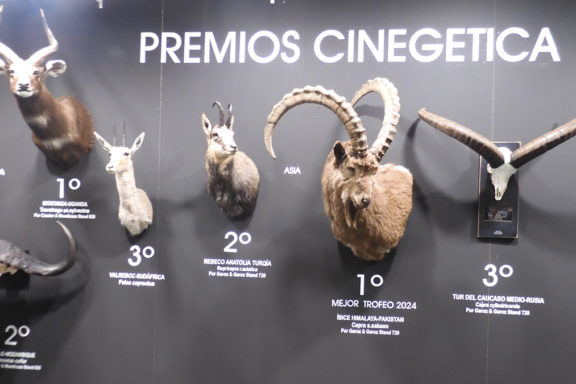 Trofeos de caza. Premios Cinegética SCI