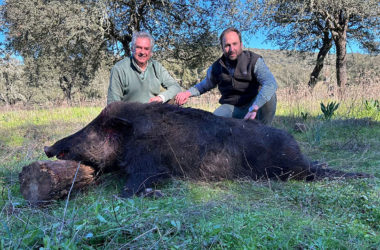 Un cochino por montería