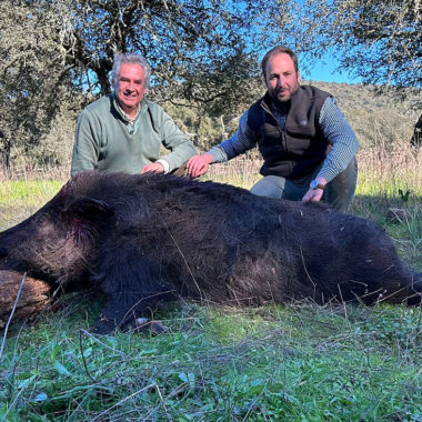 Un cochino por montería