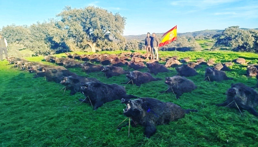 de montería en Santa Elena