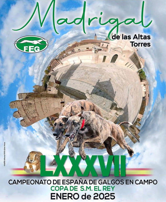 Morería de galgos