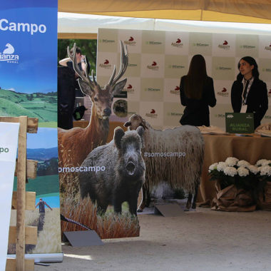 SICampo y Agroforum