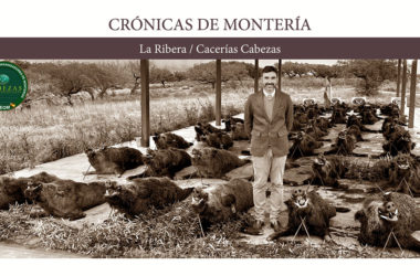 de Cacerías Cabezas en montería