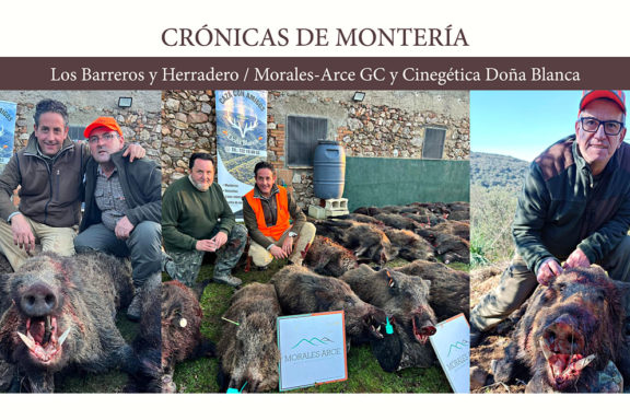 jabalíes en abierto montería
