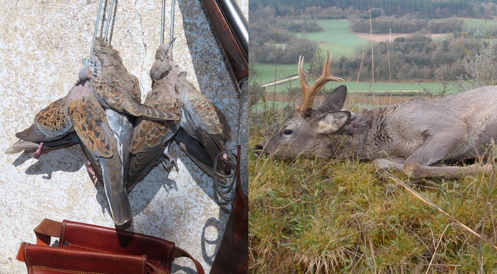 de Fundación Artemisan y Caza