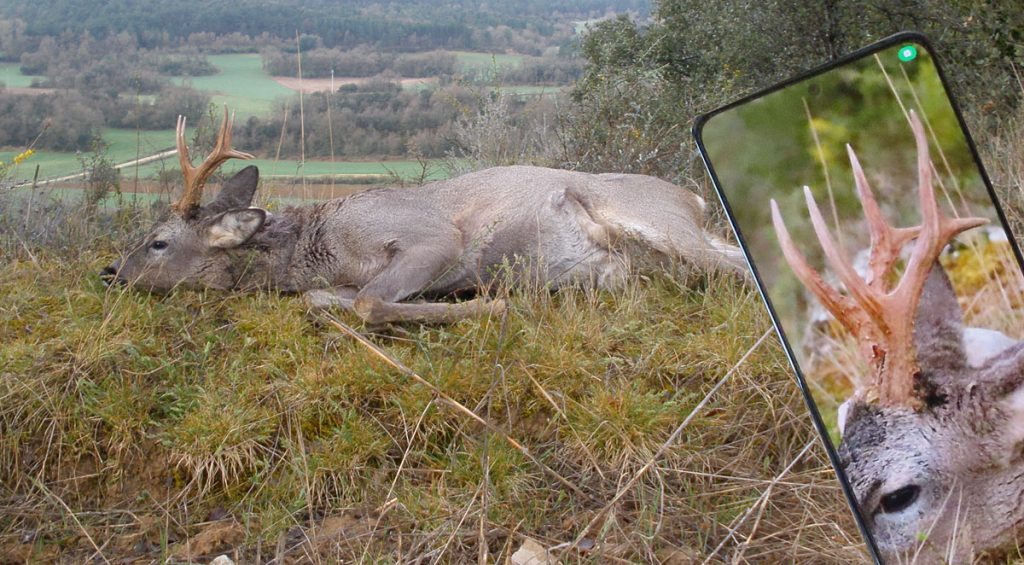 de Fundación Artemisan y Caza